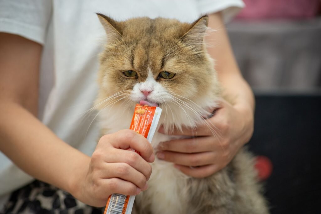 Antifreeze Poisoning in Pets: A Penticton First Frost Warning
